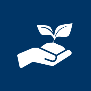 Architecture & Engineering